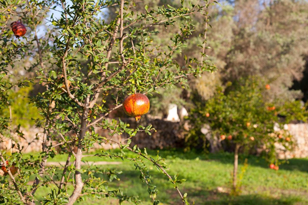 Bauernhof Ca'n Gaia Portocolom (Mallorca)