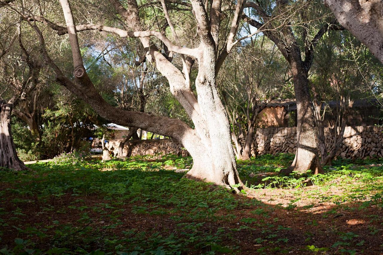 Ca'n Gaia Alloggio per agriturismo