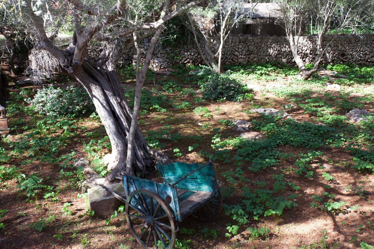 Alloggio per agriturismo Ca'n Gaia